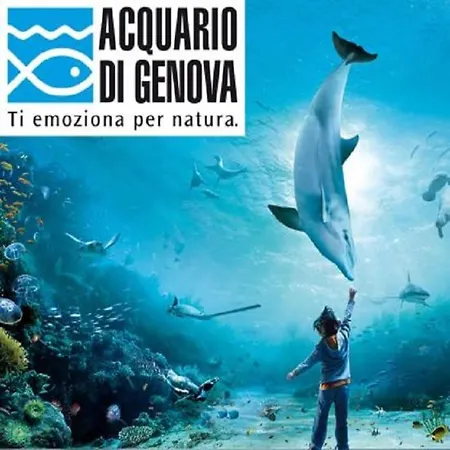 Casamare Daire Lavagna